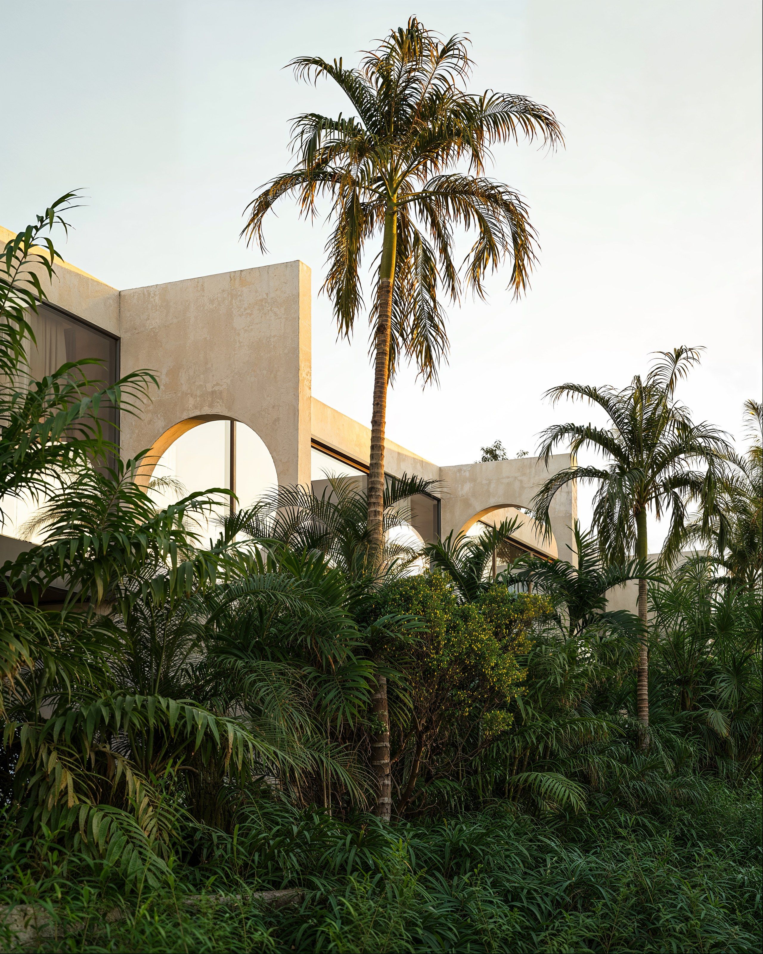 Villa facade with arched openings behind palm trees